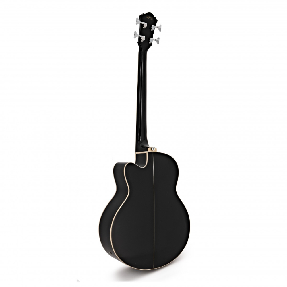 ibanez acoustic bass aeb8e