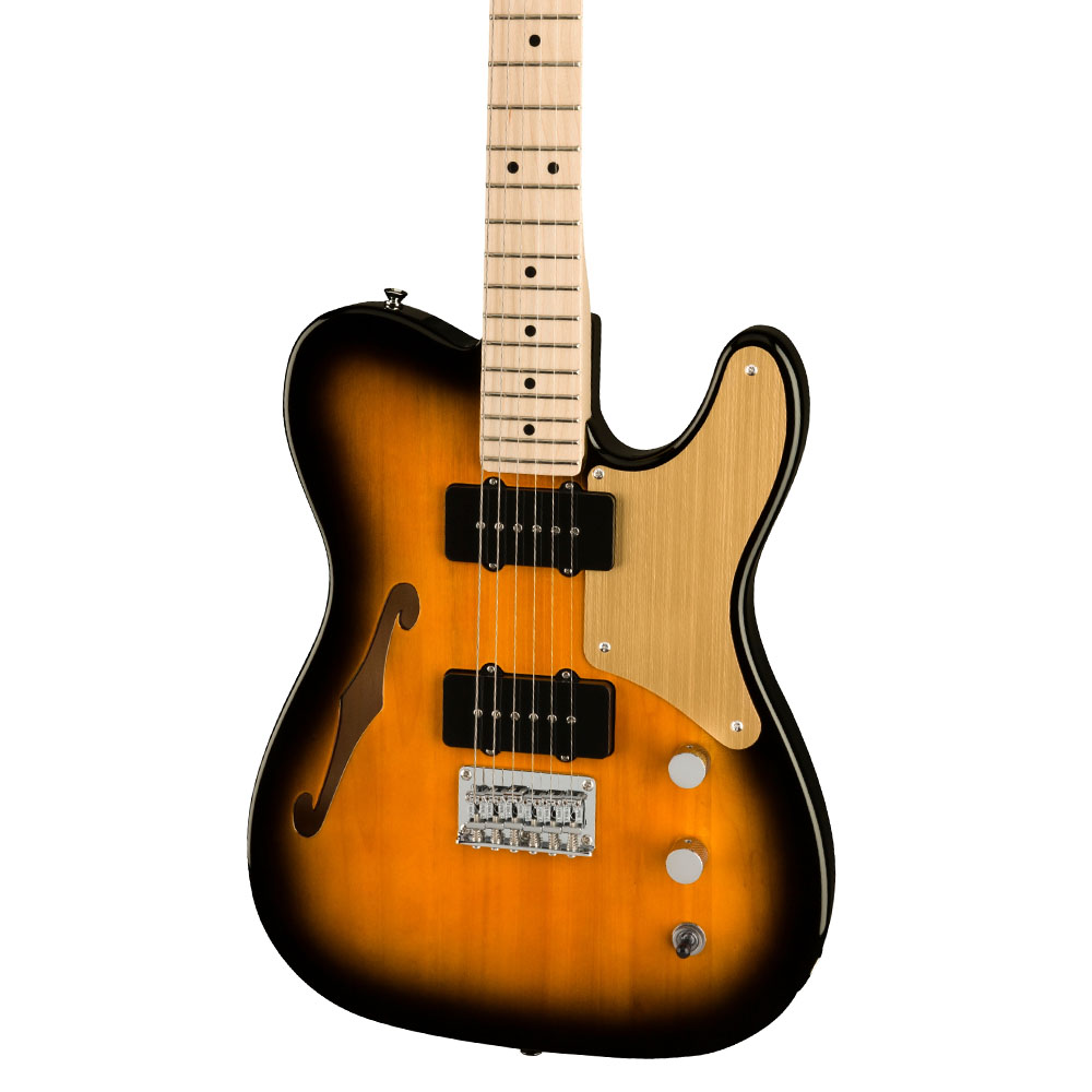 2 tone telecaster thinline