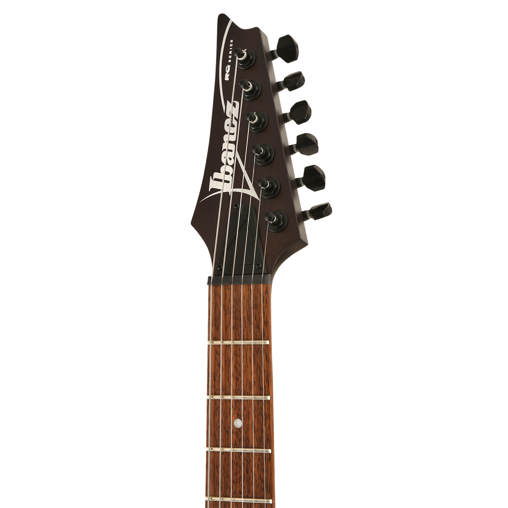 ibanez rgt 421