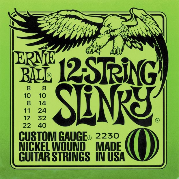 ernie ball 12 string slinky