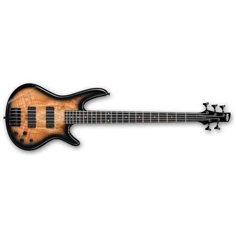 ibanez gio gsr205sm