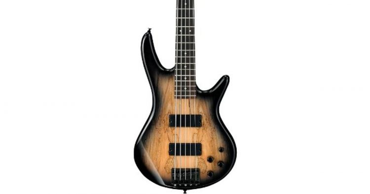 ibanez gio gsr205sm